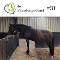 Podcast Horse in Mind, Passive Physio, Tamara Dorresteijn